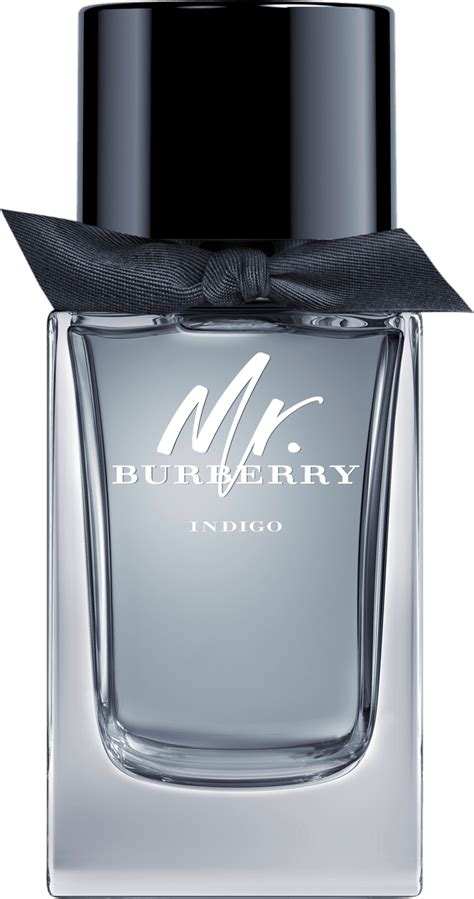 men's mr burberry indigo eau de toilette spray 5-oz|mr burberry cologne.